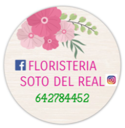 Floristería Soto del Real